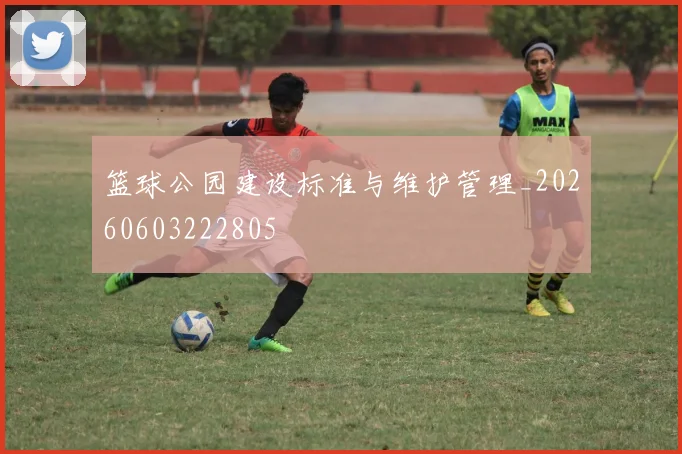 篮球公园建设标准与维护管理_20260603222805