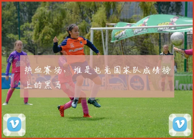 热血赛场，谁是电竞国家队成绩榜上的黑马