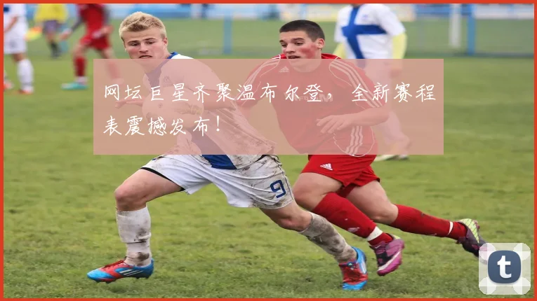网坛巨星齐聚温布尔登,全新赛程表震撼发布!