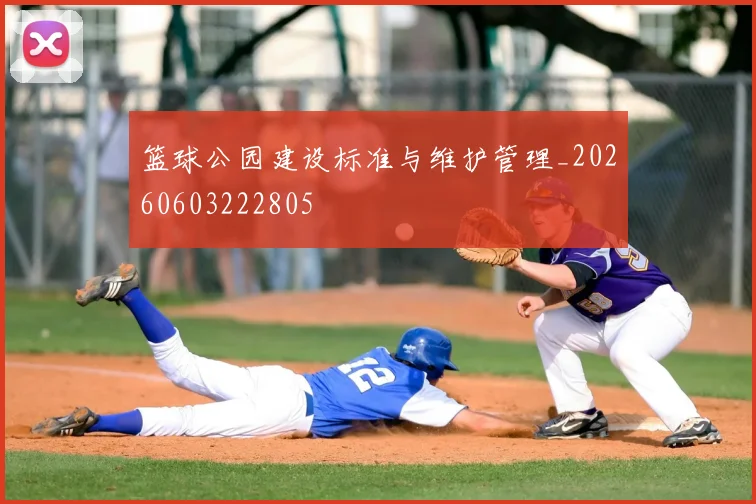 篮球公园建设标准与维护管理_20260603222805